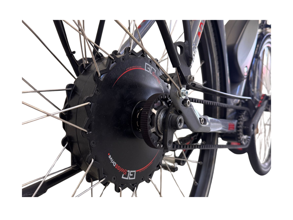 Tour de Suisse Speedster – XL - grau - 45km/h GEBRAUCHT