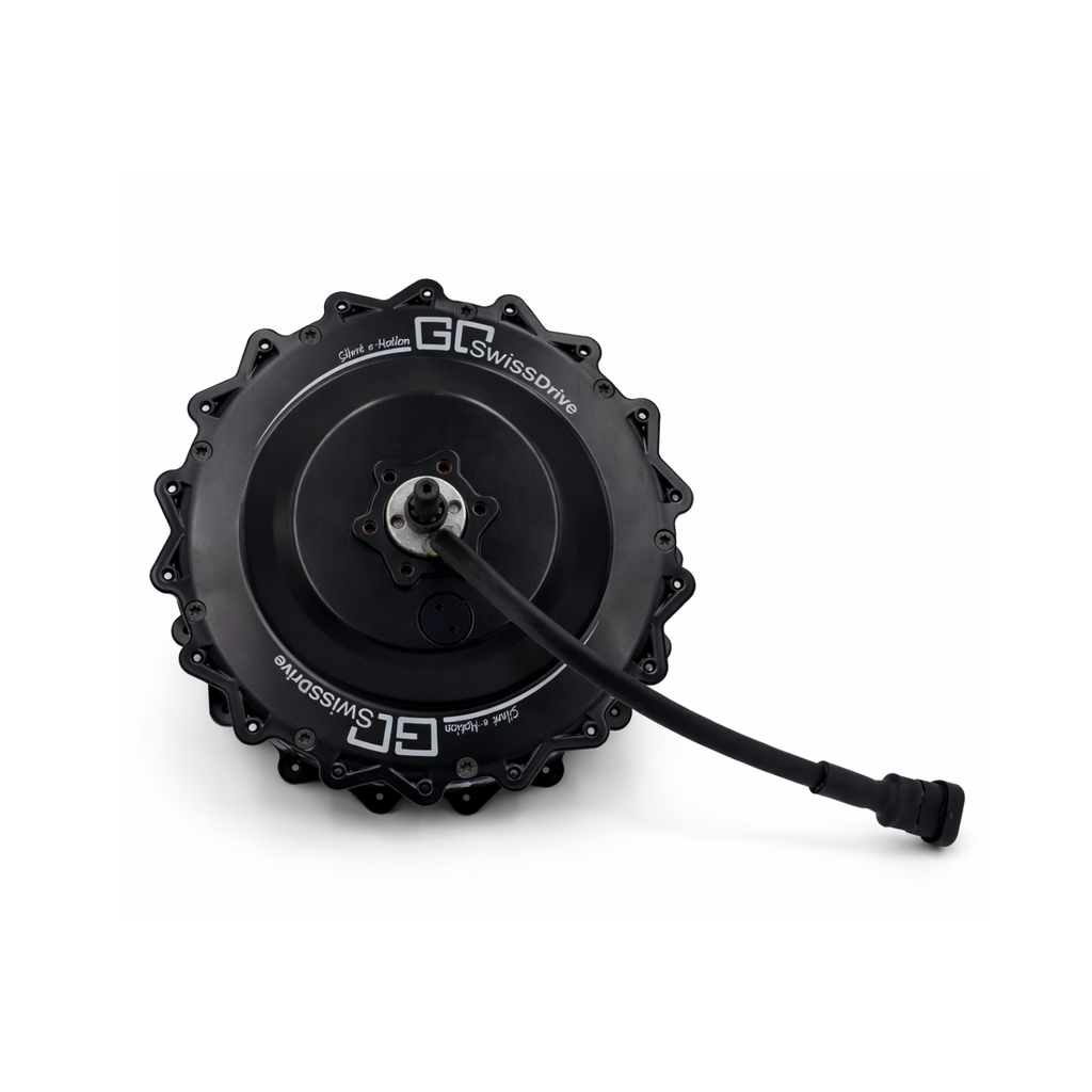 [40027000.1DE] Go SwissDrive Hinterrad-Naben-Motor CanBus G2 25 STD 250W (Standard Z8)